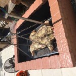 A hog can be cooked on screen.